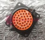 MS24264R20B41PN